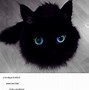 Image result for Cat Memes to Cheer You Up