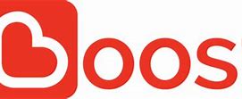 Image result for Boost Payment Logo
