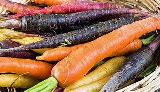 Image result for List Types of Carrots