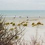 Image result for Dutch Beaches
