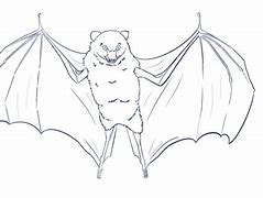 Image result for Indonesian Fruit Bat