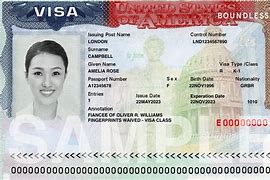 Image result for U.S. Visa Types