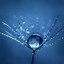 Image result for Drippy Wallpapers for iPad