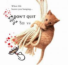 Image result for Hang in There Cute