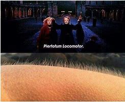 Image result for Harry Potter Memes McGonagall