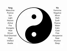 Image result for Yin Yang Concept