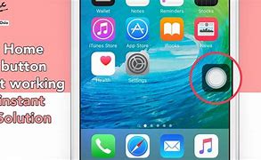 Image result for Apple Home Button Not Working