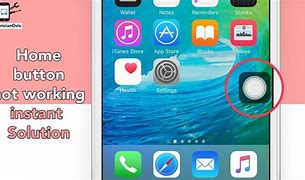 Image result for iPhone 7 Home Button Not Working Solution