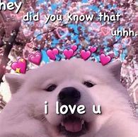 Image result for Wholesome Dank Memes
