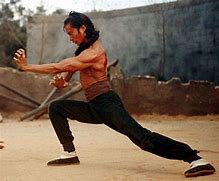 Image result for Kung Fu Fighter
