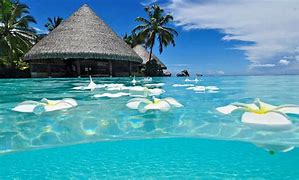 Image result for Plage Paradisiaque Pas Cher