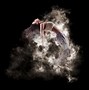 Image result for Animated Smoke Banner