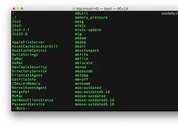 Image result for OS X Terminal