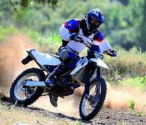Image result for BMW G 450 X