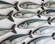 Image result for 3D Fish Wall Art
