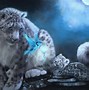Image result for Cool Snow Leopard Wallpaper