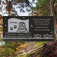 Image result for Grumpy Cat Grave