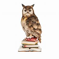 Image result for Owl Wallpaper Books