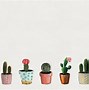Image result for Free Cactus Wallpaper Desktop