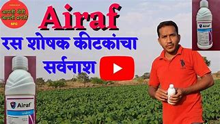 Image result for airaf