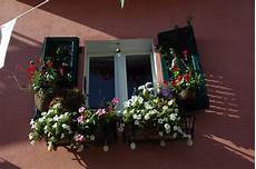 piante da davanzale come creare un davanzale fiorito soluzioni di casa piante da davanzale come creare un davanzale fiorito soluzioni di casa