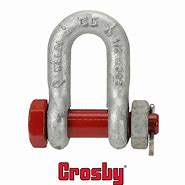 Image result for Chain Shackle