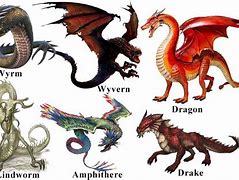 Image result for Wyvern Dragon Mythology