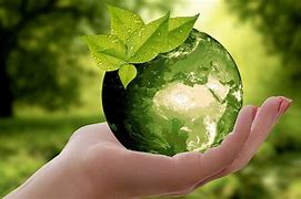 Image result for environmentally