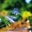 Image result for Colorful Bubbles iPhone 5 Wallpaper