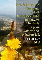 Image result for 1 Peter 1 24