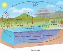 Image result for Carbonate Cycle Lithium