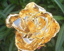 Image result for Real Gold Dipped Rose