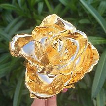 Image result for Gold Dipped Roses