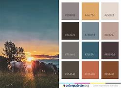 Image result for Morning Color Palette
