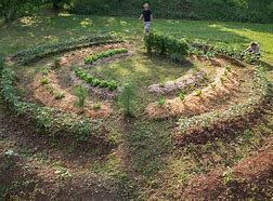 Image result for Permaculture Plants