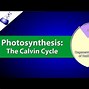 Image result for Photosynthesis vs Cellular Respiration Formulas