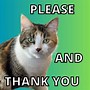 Image result for thanks you memes cats