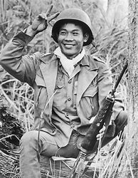 Image result for Vietnam War Soldier Portrait