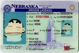 Image result for Fake ID Back