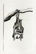 Image result for Hanging Bat Drawing