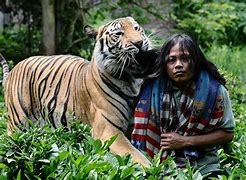 Image result for Bengal Tiger Man
