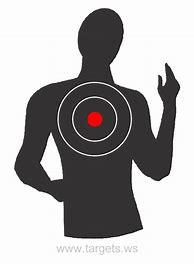Image result for Humanoid Silhouette Target
