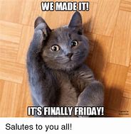 Image result for Furriday Morning Cat Memes