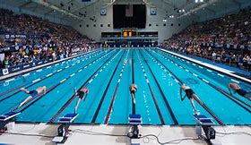 Image result for Swimming Tournament