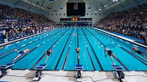 Image result for Competitive Swimming Pool