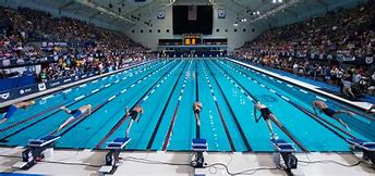 Image result for Competitive Swimming