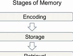 Image result for The Development History of the Memory