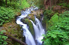 Image result for Washington State National Parks
