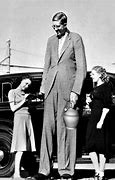Image result for 14 Feet Tall Things