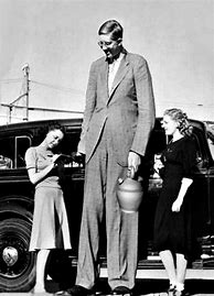 Image result for A Guy 9 Feet Tall
